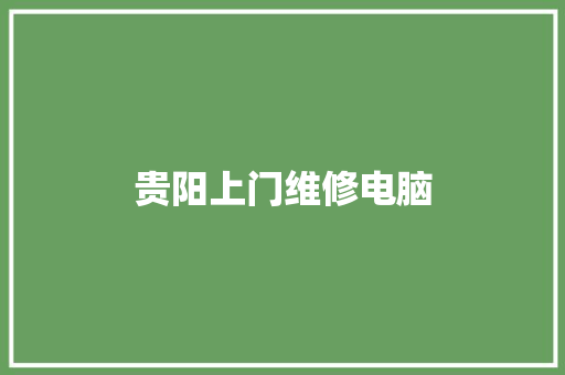 贵阳上门维修电脑