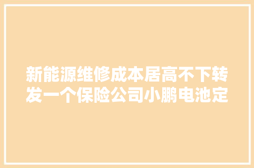 新能源维修成本居高不下转发一个保险公司小鹏电池定损案列