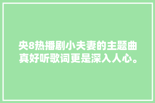 央8热播剧小夫妻的主题曲真好听歌词更是深入人心。