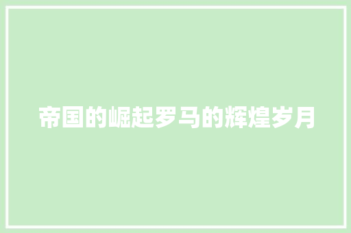 帝国的崛起罗马的辉煌岁月