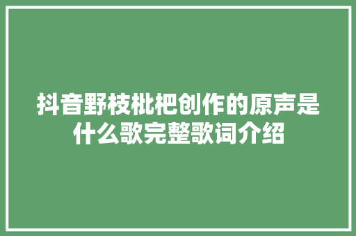 抖音野枝枇杷创作的原声是什么歌完整歌词介绍