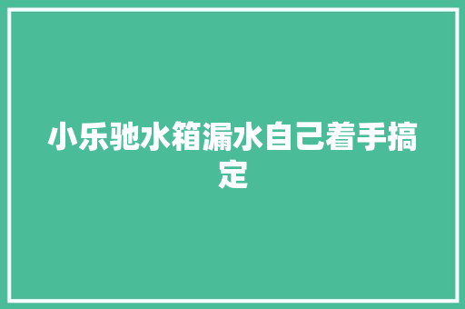 小乐驰水箱漏水自己着手搞定
