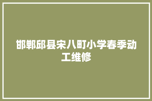邯郸邱县宋八町小学春季动工维修