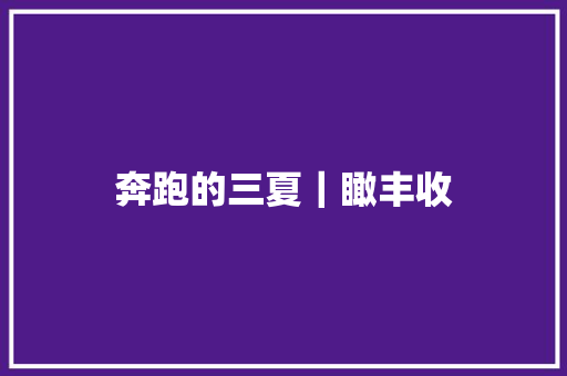 奔跑的三夏｜瞰丰收