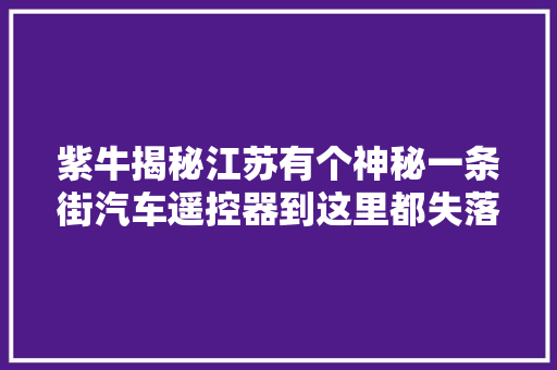 紫牛揭秘江苏有个神秘一条街汽车遥控器到这里都失落灵