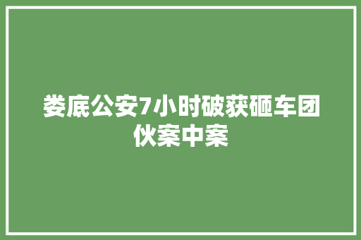 娄底公安7小时破获砸车团伙案中案