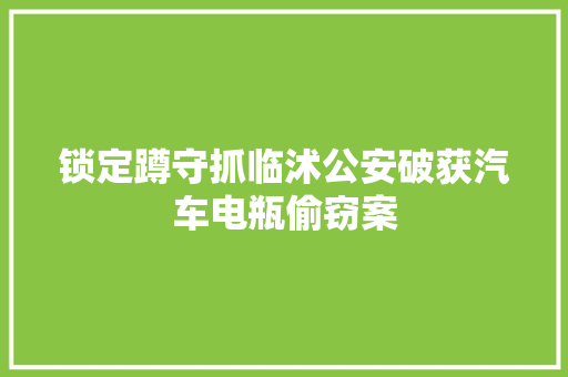 锁定蹲守抓临沭公安破获汽车电瓶偷窃案