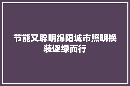 节能又聪明绵阳城市照明换装逐绿而行