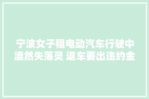 宁波女子租电动汽车行驶中溘然失落灵 退车要出违约金