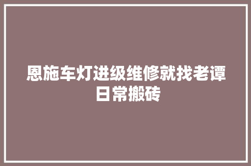 恩施车灯进级维修就找老谭 日常搬砖