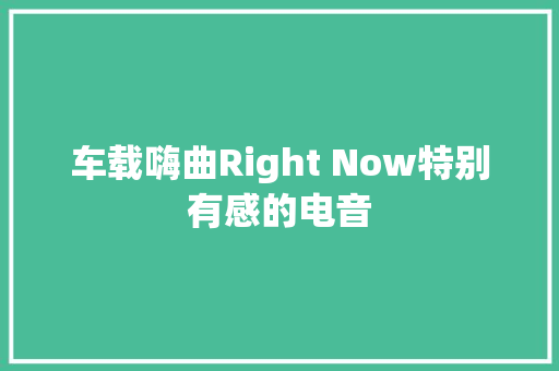 车载嗨曲Right Now特别有感的电音
