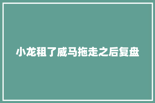 小龙租了威马拖走之后复盘