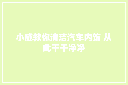 小威教你清洁汽车内饰 从此干干净净