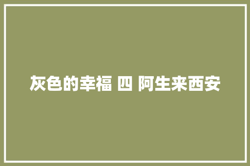 灰色的幸福 四 阿生来西安