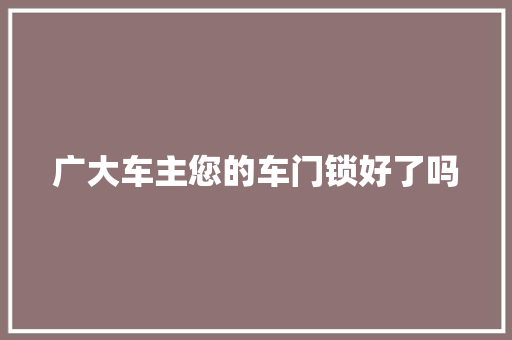 广大车主您的车门锁好了吗