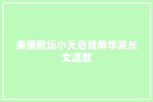 美国歌坛小天后就辱华发长文道歉