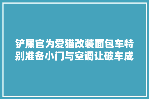 铲屎官为爱猫改装面包车特别准备小门与空调让破车成猫咪乐园