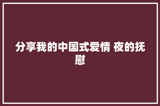 分享我的中国式爱情 夜的抚慰