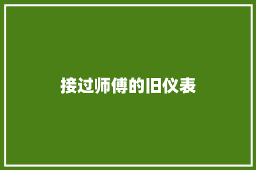 接过师傅的旧仪表