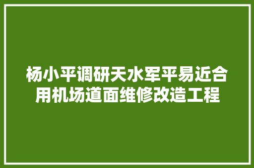杨小平调研天水军平易近合用机场道面维修改造工程