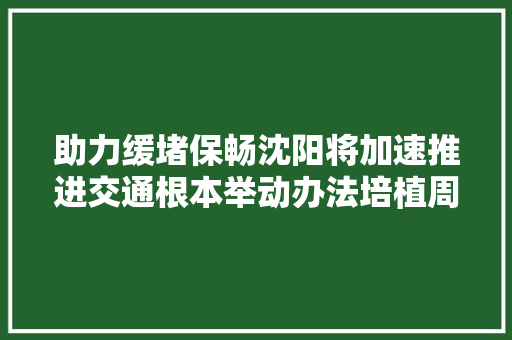 助力缓堵保畅沈阳将加速推进交通根本举动办法培植周全开展文明交通行动