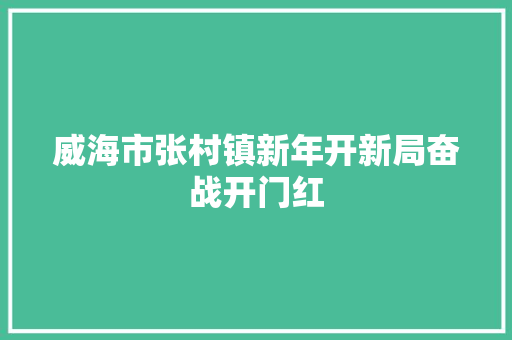 威海市张村镇新年开新局奋战开门红