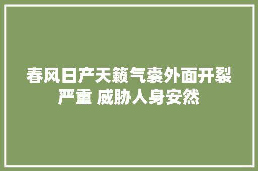 春风日产天籁气囊外面开裂严重 威胁人身安然