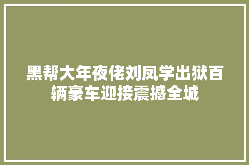 黑帮大年夜佬刘凤学出狱百辆豪车迎接震撼全城 汽车知识