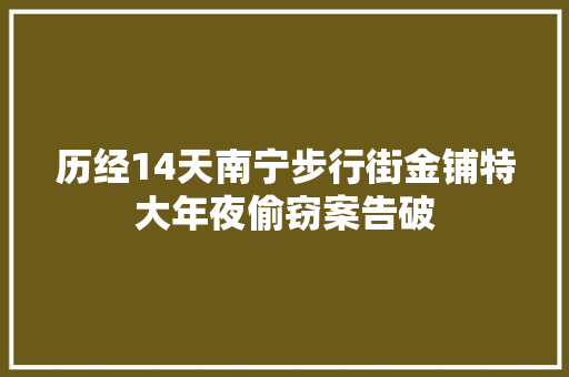 历经14天南宁步行街金铺特大年夜偷窃案告破