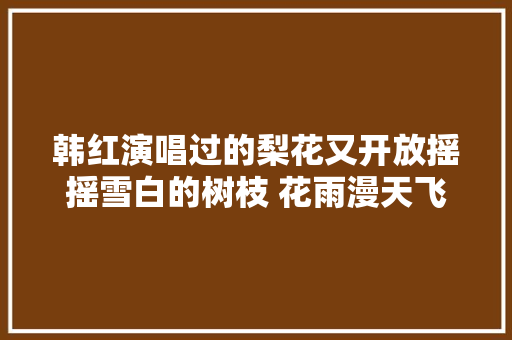 韩红演唱过的梨花又开放摇摇雪白的树枝 花雨漫天飞扬