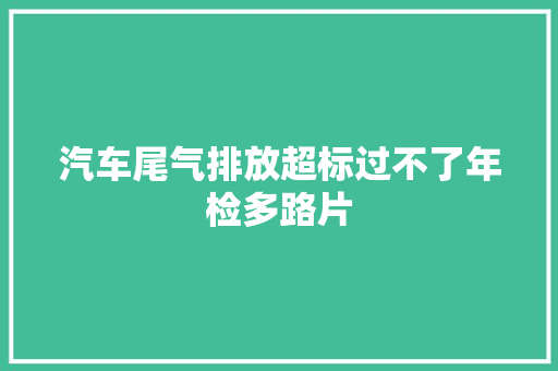 汽车尾气排放超标过不了年检多路片