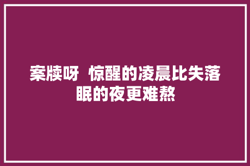 案牍呀  惊醒的凌晨比失落眠的夜更难熬