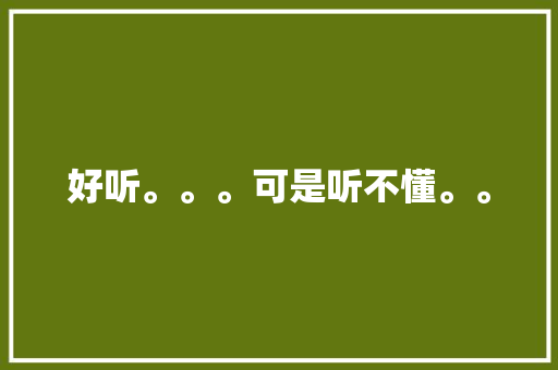好听。。。可是听不懂。。