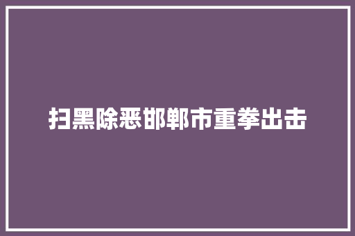 扫黑除恶邯郸市重拳出击