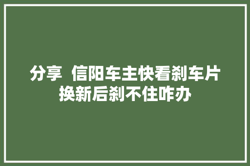 分享  信阳车主快看刹车片换新后刹不住咋办