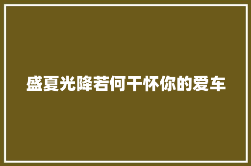 盛夏光降若何干怀你的爱车