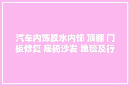 汽车内饰胶水内饰 顶棚 门板修复 座椅沙发 地毯及行李箱的粘合剂