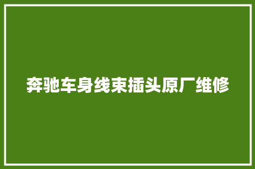 奔驰车身线束插头原厂维修