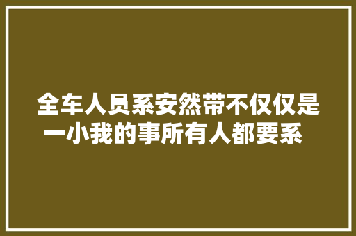 全车人员系安然带不仅仅是一小我的事所有人都要系  一盔一带