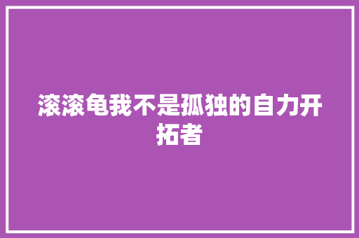 滚滚龟我不是孤独的自力开拓者