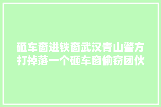 砸车窗进铁窗武汉青山警方打掉落一个砸车窗偷窃团伙四人落网