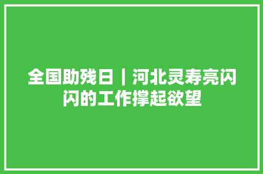 全国助残日｜河北灵寿亮闪闪的工作撑起欲望