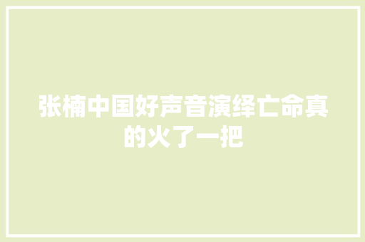 张楠中国好声音演绎亡命真的火了一把