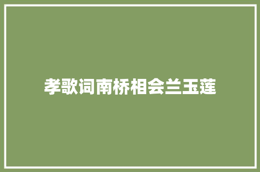 孝歌词南桥相会兰玉莲