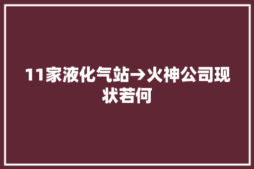 11家液化气站→火神公司现状若何