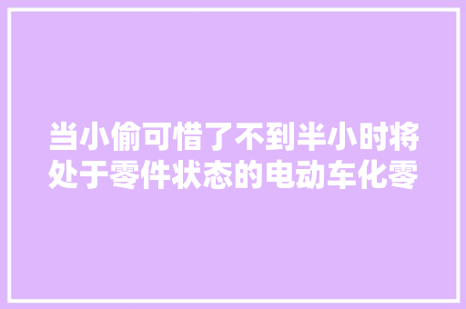 当小偷可惜了不到半小时将处于零件状态的电动车化零为整