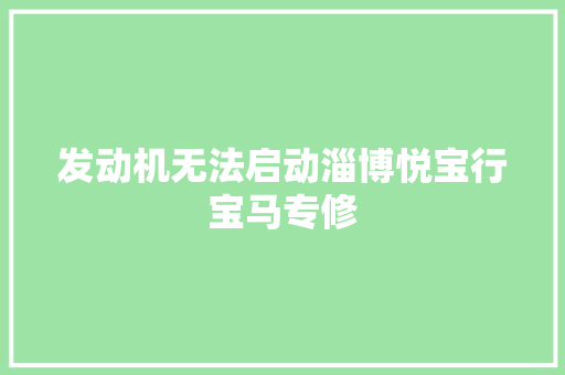 发动机无法启动淄博悦宝行宝马专修