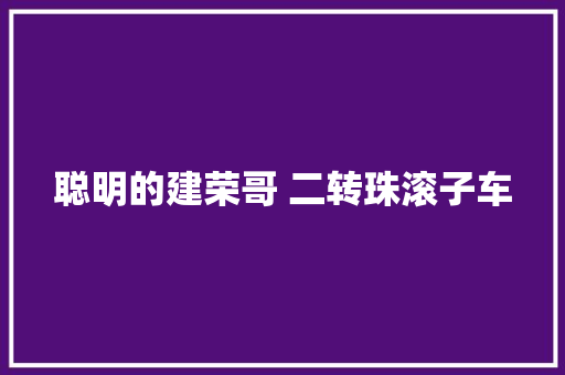 聪明的建荣哥 二转珠滚子车