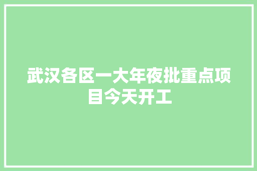 武汉各区一大年夜批重点项目今天开工