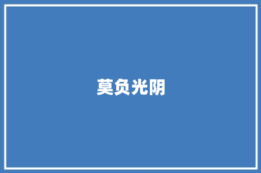 莫负光阴
